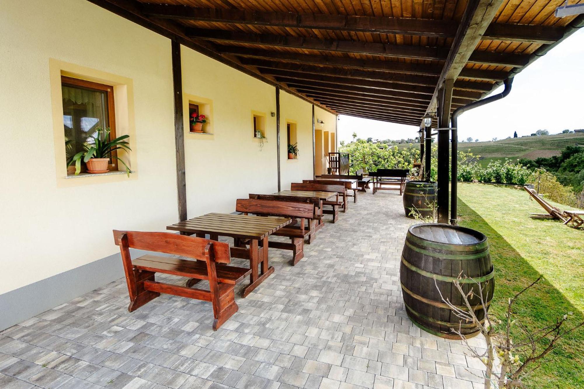 Zelena Oaza - B&B Miklavz pri Ormozu エクステリア 写真